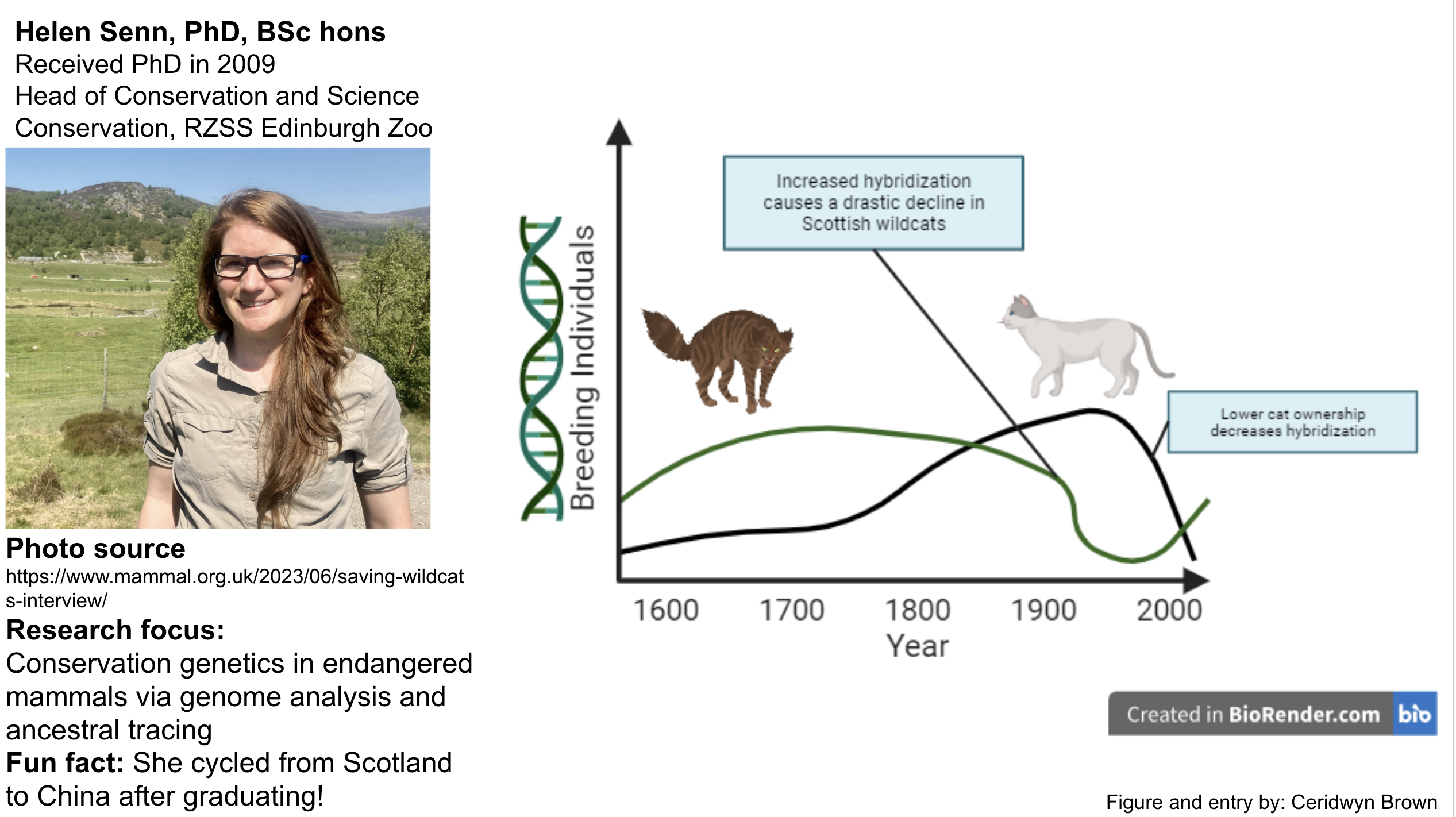 BioRender and profile describing Helen Senn's ecological research